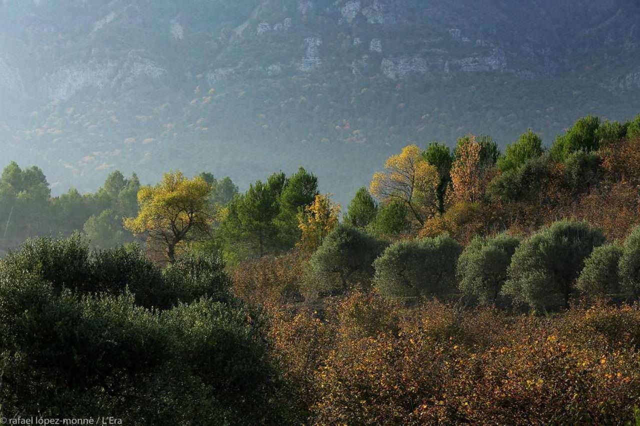 Casa Rural Lera Torre de Fontaubella Exteriér fotografie